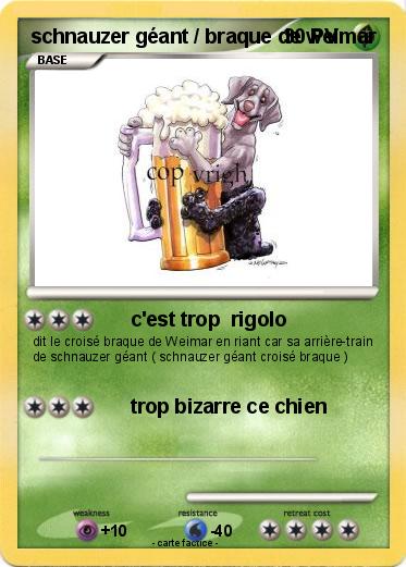 Pokemon schnauzer géant / braque de weimar