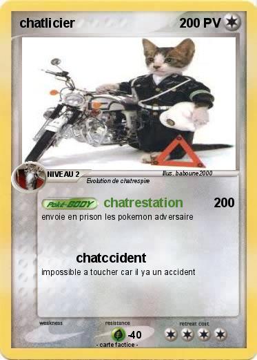 Pokemon chatlicier