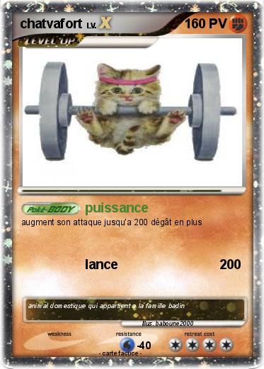 Pokemon chatvafort