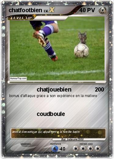 Pokemon chatfootbien