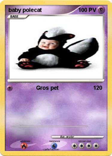 Pokemon baby polecat