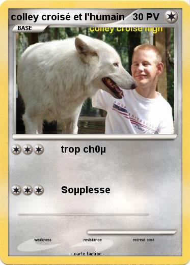 Pokemon colley croisé et l'humain