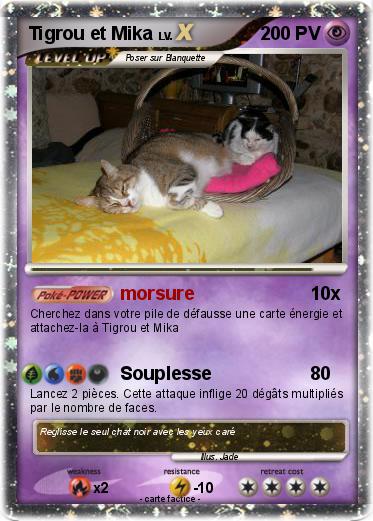 Pokemon Tigrou et Mika