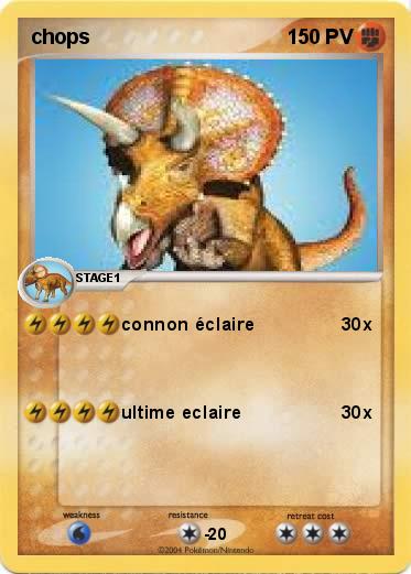 Pokemon chops