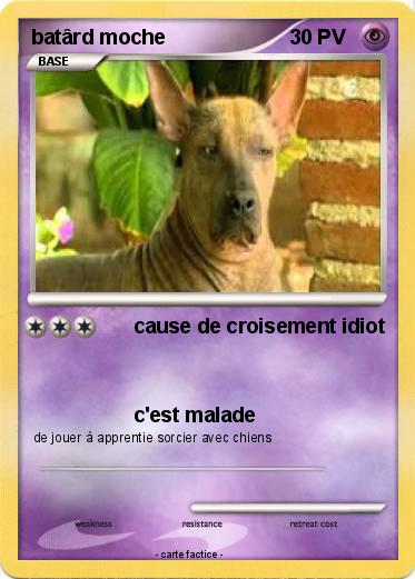 Pokemon batârd moche