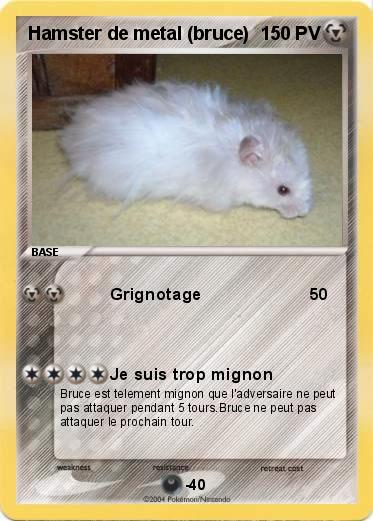 Pokemon Hamster de metal (bruce)