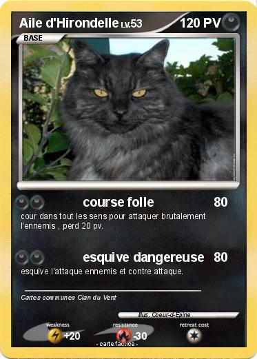 Pokemon Aile d'Hirondelle