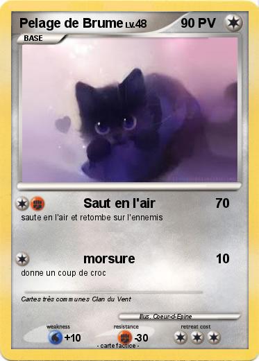 Pokemon Pelage de Brume