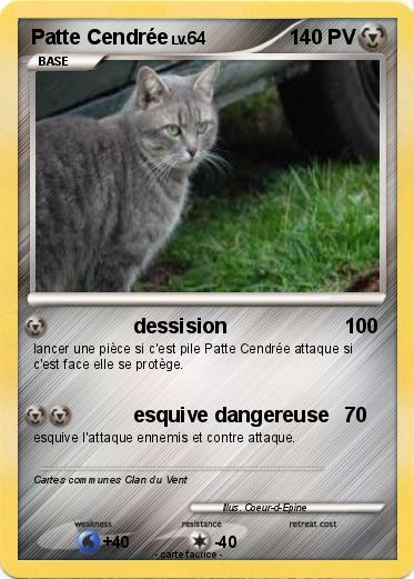 Pokemon Patte Cendrée