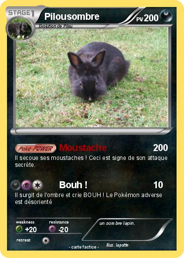 Pokemon Pilousombre