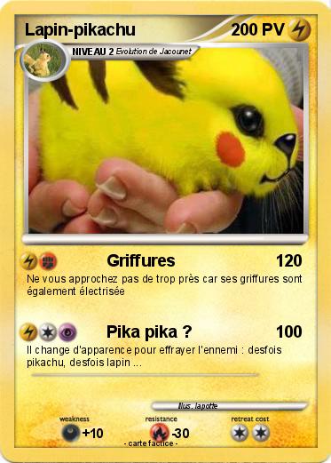 Pokemon Lapin-pikachu