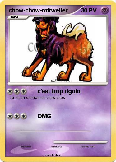 Pokemon chow-chow-rottweiler