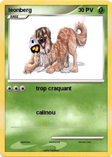 Pokemon leonberg