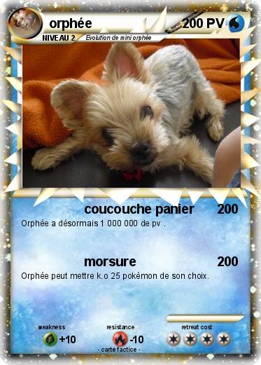 Pokemon orphée