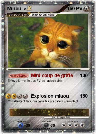 Pokemon Minou