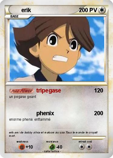 Pokemon erik