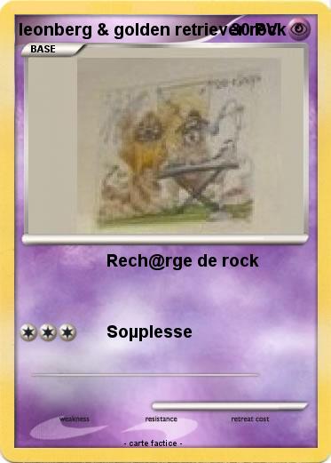 Pokemon leonberg & golden retriever rock