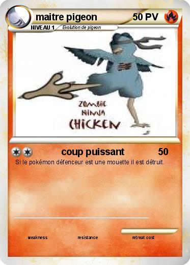 Pokemon maitre pigeon