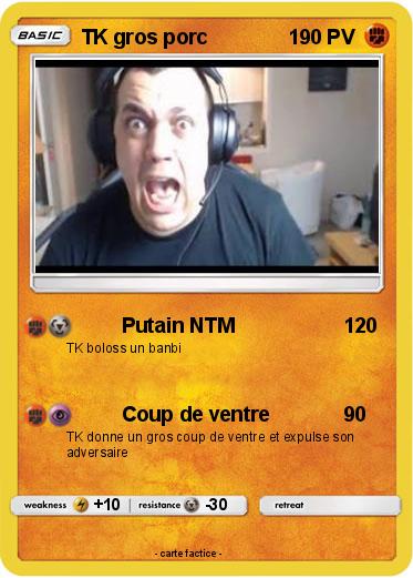 Pokemon TK gros porc
