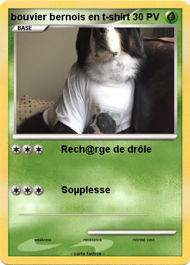 Pokemon bouvier bernois en t-shirt