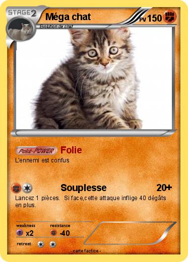 Pokemon Méga chat
