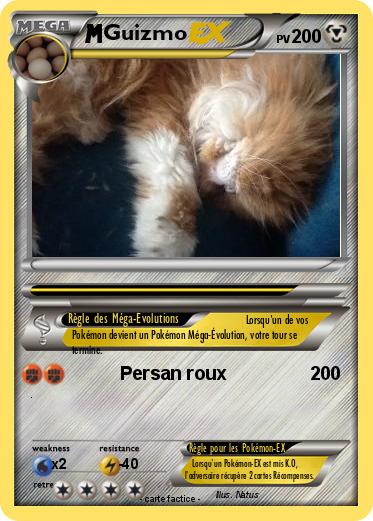 Pokemon Guizmo