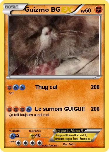 Pokemon Guizmo BG