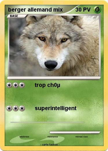 Pokemon berger allemand mix
