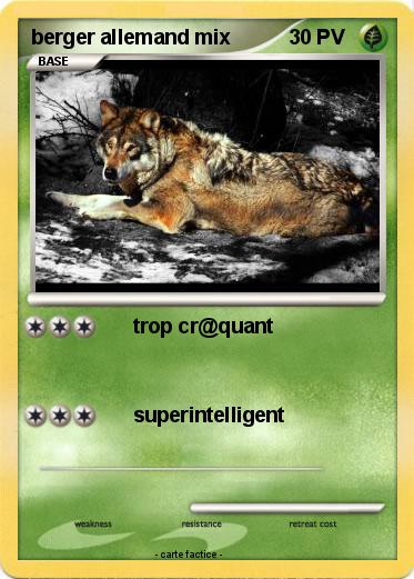 Pokemon berger allemand mix