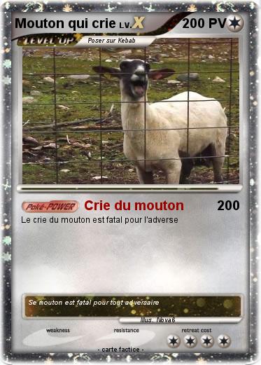 Pokemon Mouton qui crie