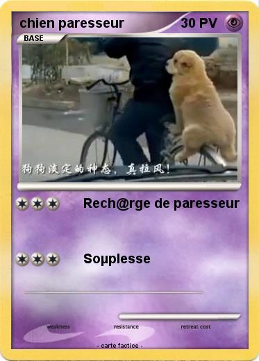Pokemon chien paresseur