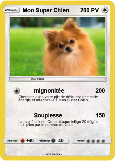Pokemon Mon Super Chien