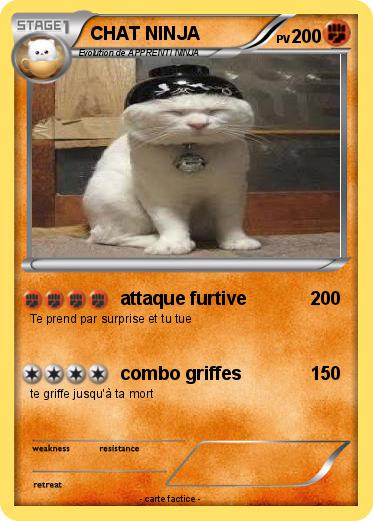 Pokemon CHAT NINJA