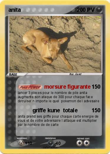 Pokemon anita