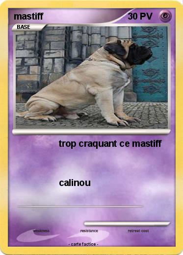 Pokemon mastiff