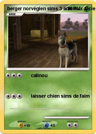 Pokemon berger norvégien sims 3 animaux & cie