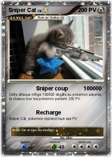 Pokemon Sniper Cat