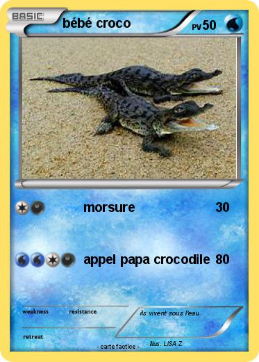 Pokemon bébé croco