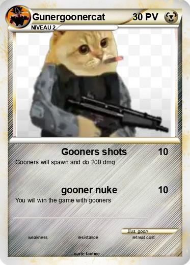 Pokemon Gunergoonercat