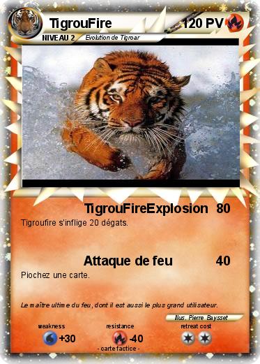Pokemon TigrouFire