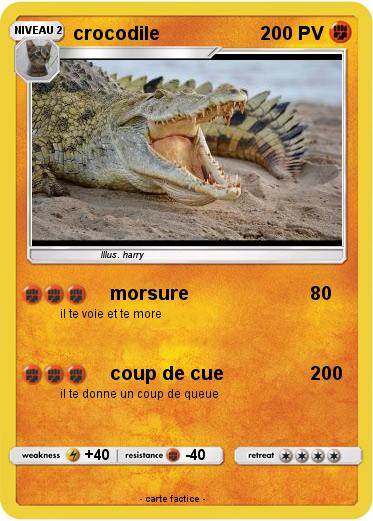 Pokemon crocodile
