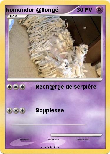 Pokemon komondor @llongé