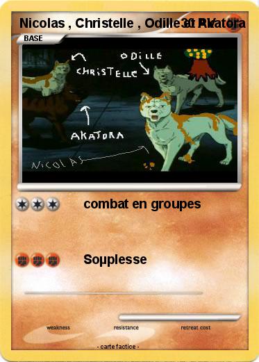 Pokemon Nicolas , Christelle , Odille et Akatora