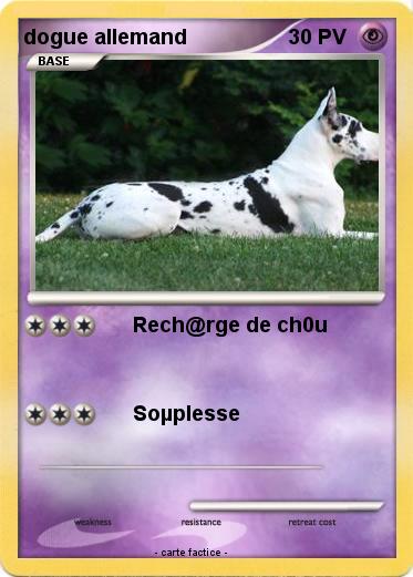 Pokemon dogue allemand