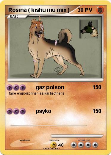 Pokemon Rosina ( kishu inu mix )