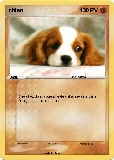 Pokemon chien