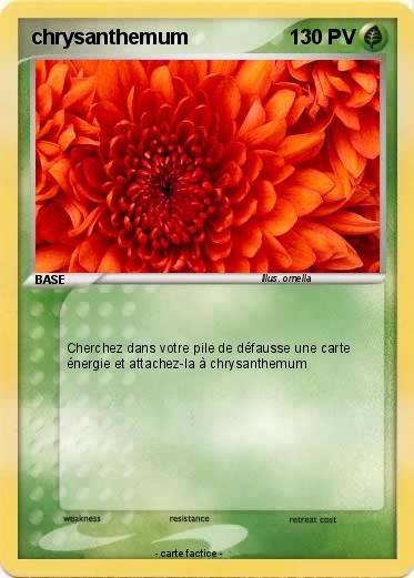 Pokemon chrysanthemum