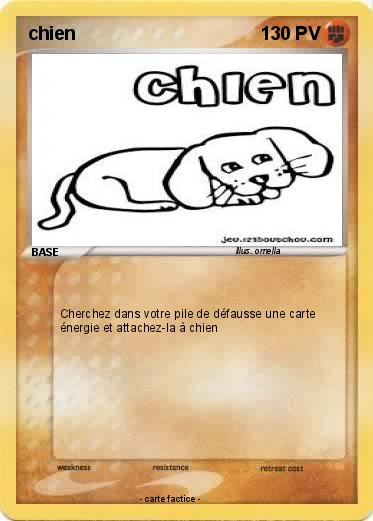 Pokemon chien
