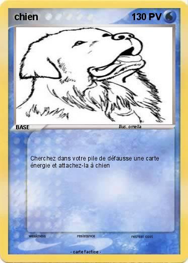 Pokemon chien