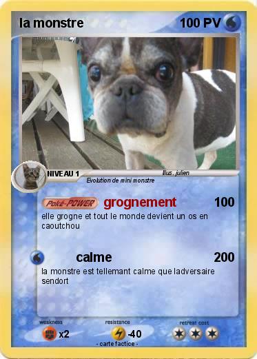 Pokemon la monstre